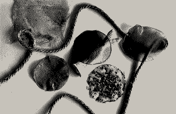 /progetti/bluexo/05 BluExo_Roberta Parisi.webp