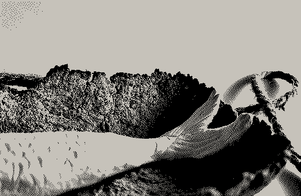 /progetti/bluexo/06 BluExo_Roberta Parisi.webp