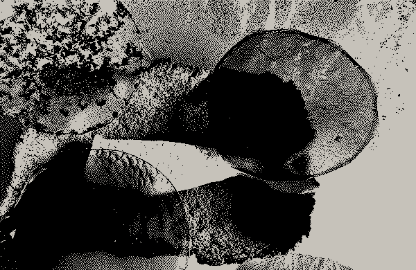 /progetti/bluexo/07 BluExo_Roberta Parisi.webp