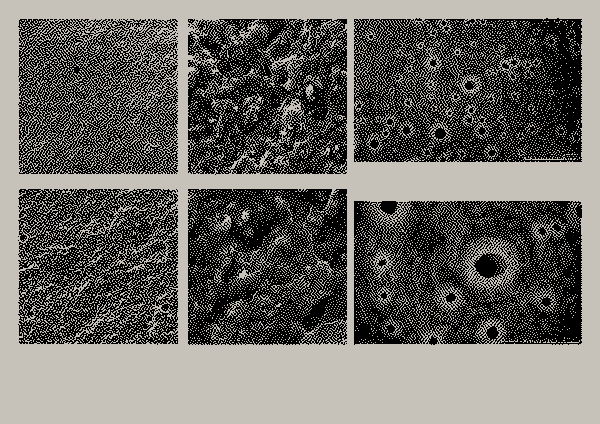 /progetti/design_by_waste/4. ANALISI MACRO E MICROSTRUTTURALE.webp