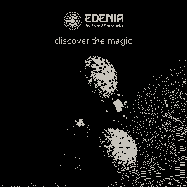 /progetti/edenia_-_ipotesi_di_co_branding_tra_lush_&_starbucks/8.webp